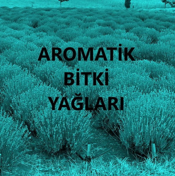 Tıbbi Aromatik Bitki Yağları