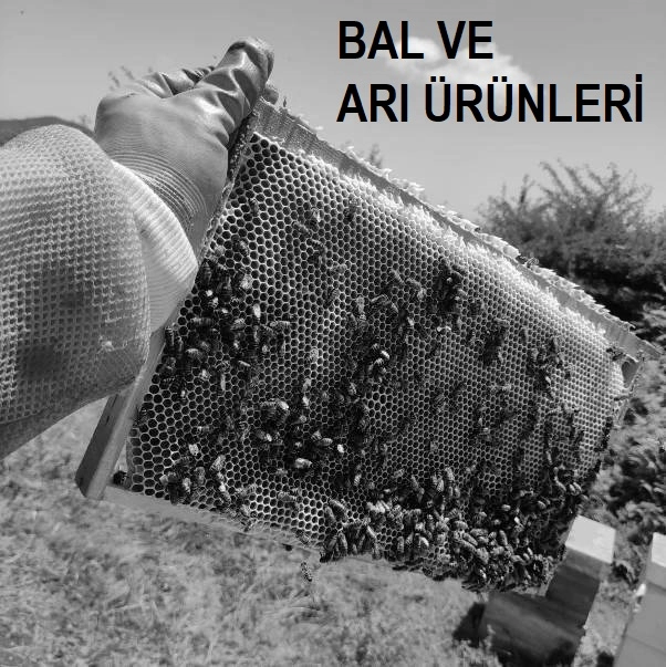 Arı Ürünleri