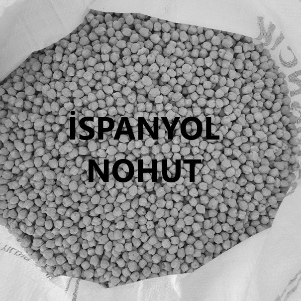 İspanyol Nohut