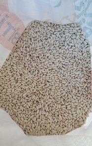 Manyas Kazak Fasulyesi 500 Gr.