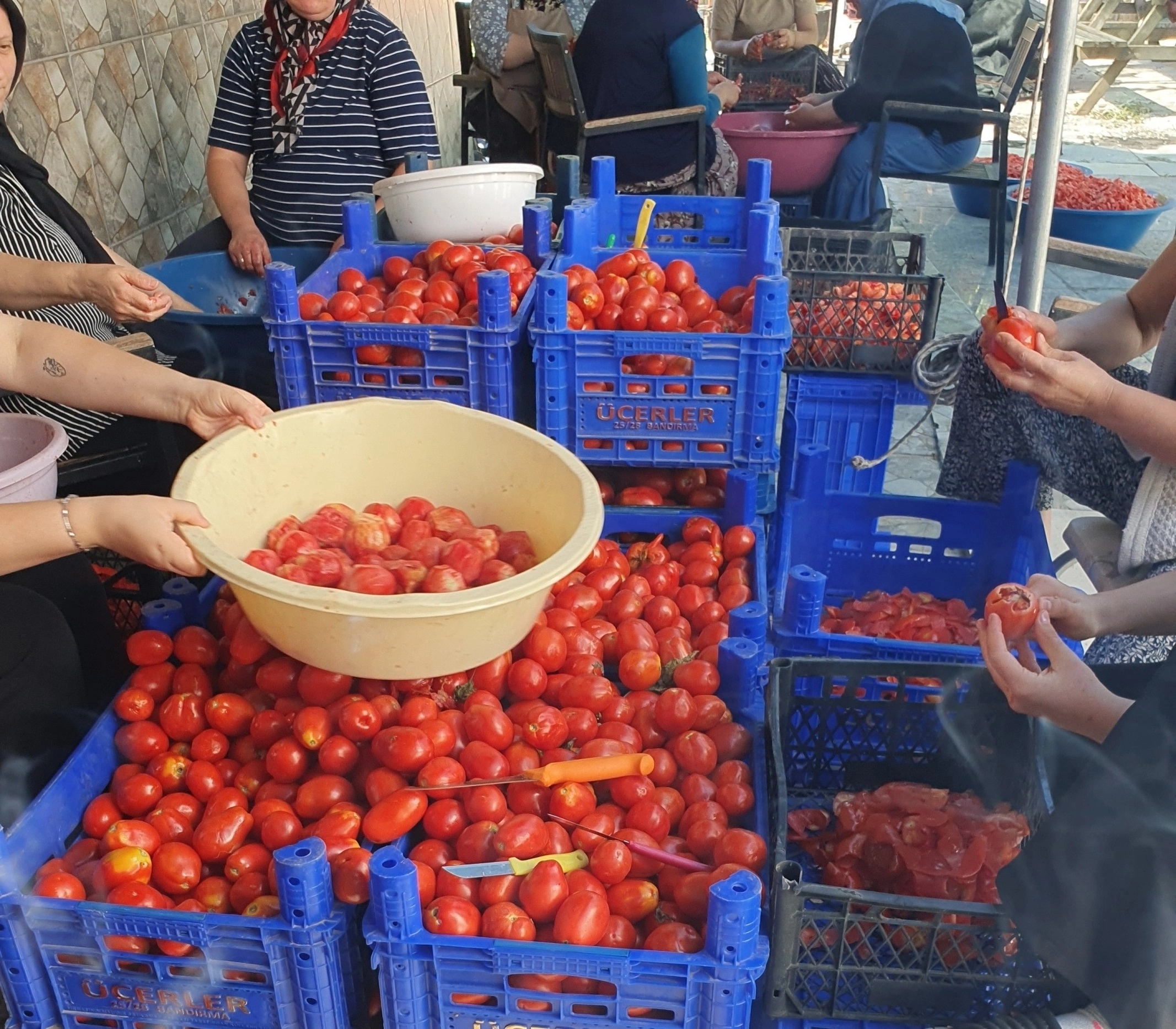 Menemen Harcı 600 Gr.
