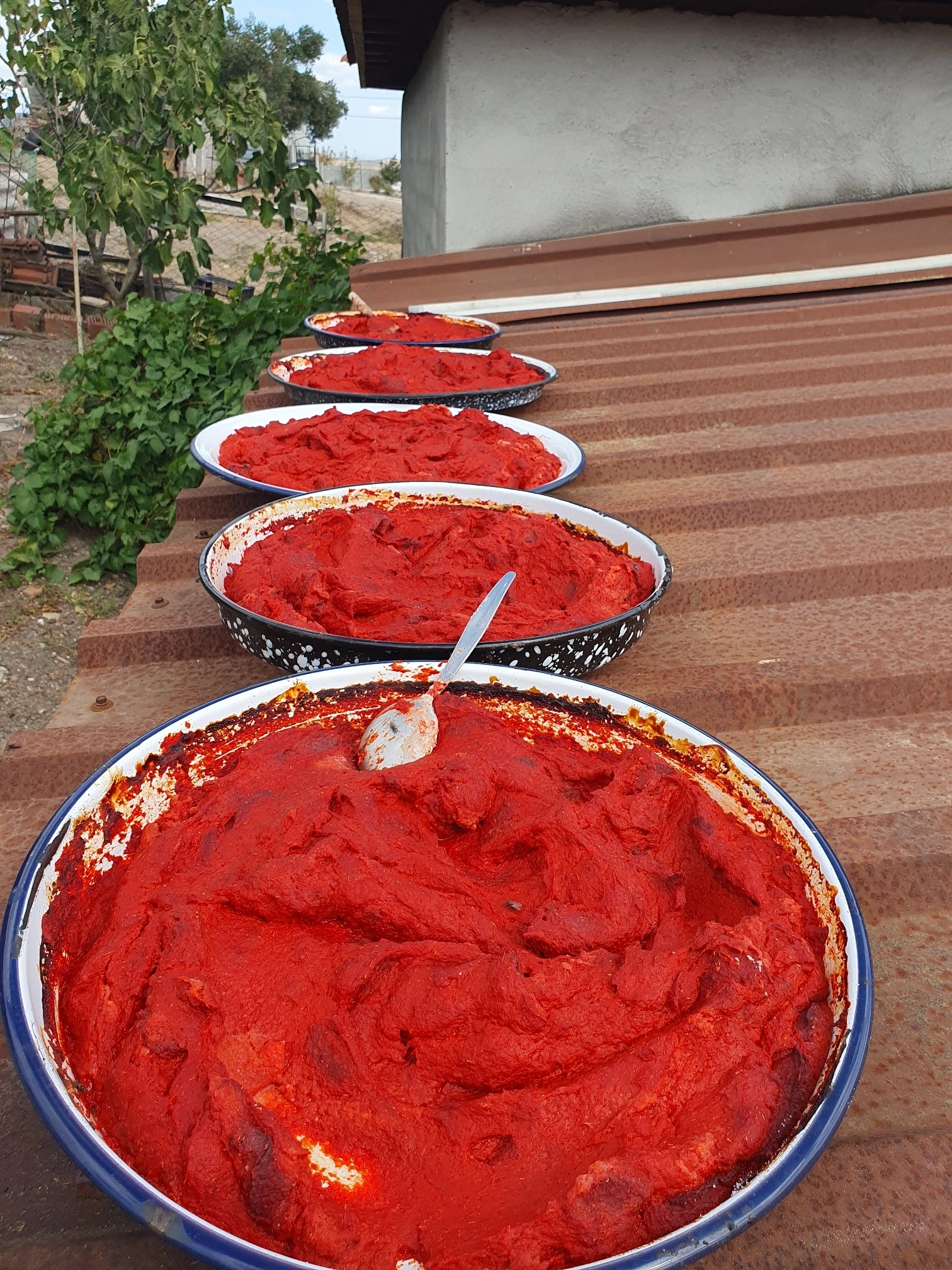 Domates Salçası