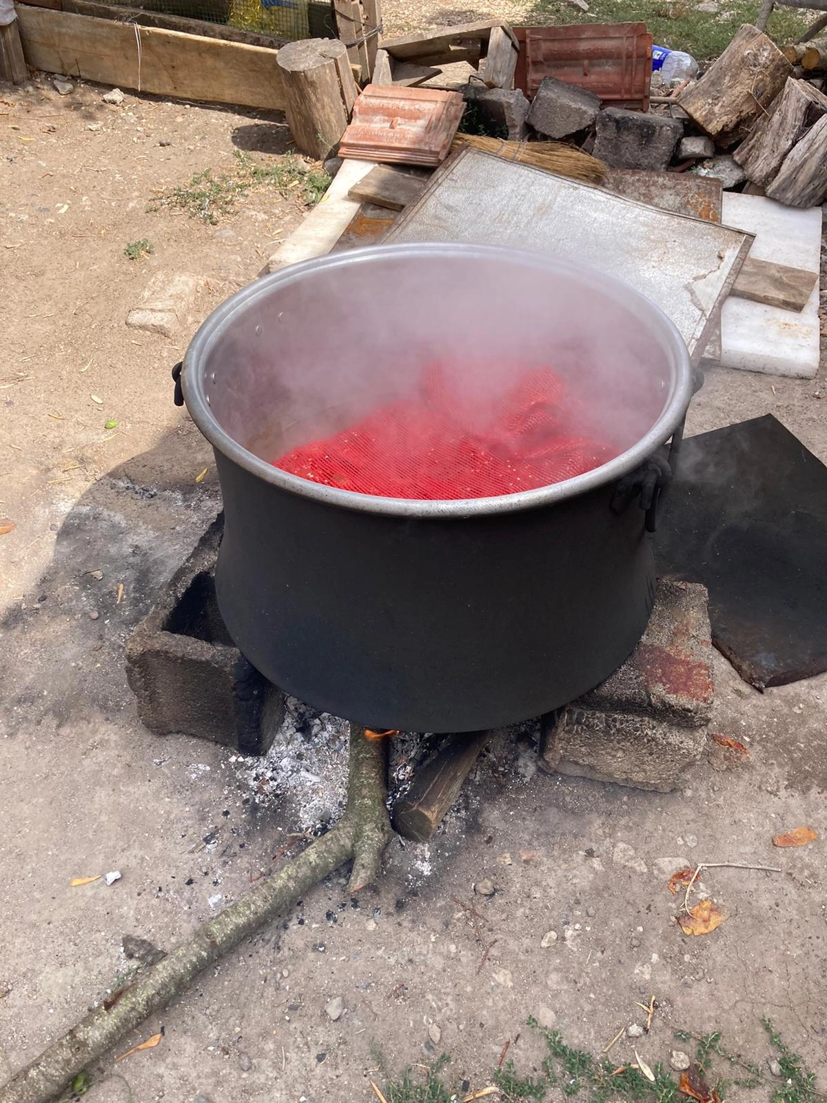 Domates Salçası