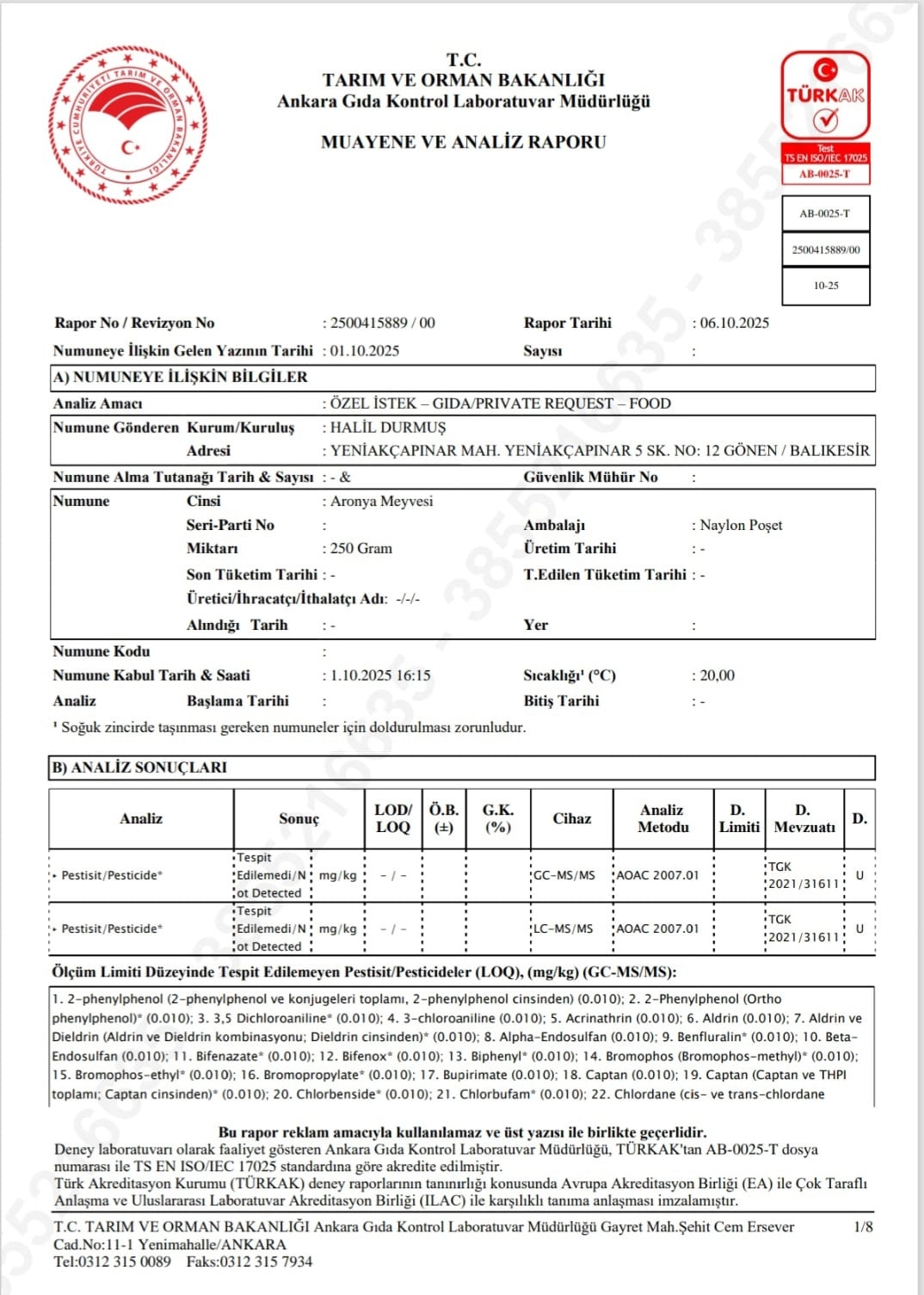 Taze Aronya Meyvesi