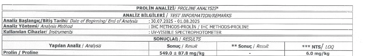 Manyas Ham Bahar Balı 1 Kg.